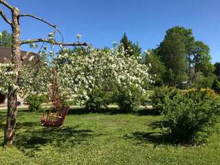 Дома для отпуска Metsanurga Guestroom Linnamäe Дом с 1 спальней-10