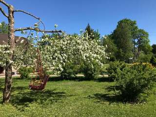 Дома для отпуска Metsanurga Guestroom Linnamäe Дом с 1 спальней-38