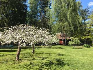 Дома для отпуска Metsanurga Guestroom Linnamäe Дом с 1 спальней-7