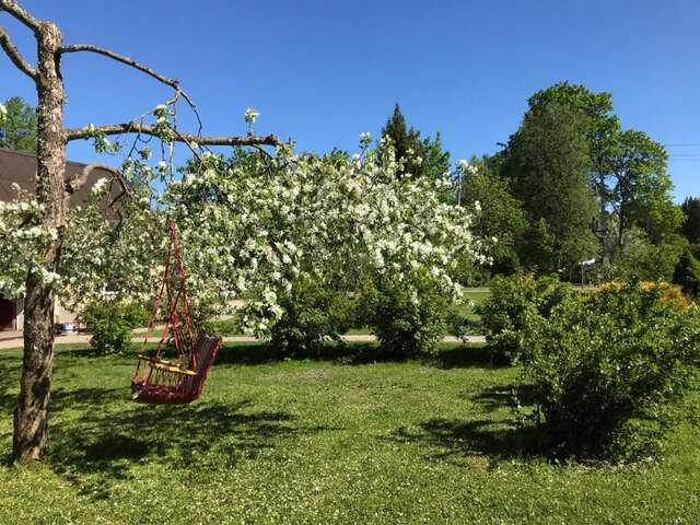 Дома для отпуска Metsanurga Guestroom Linnamäe-40