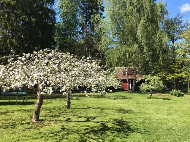 Дома для отпуска Metsanurga Guestroom Linnamäe-47